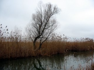 Ciorni Ierik , Mare d'' Azov.